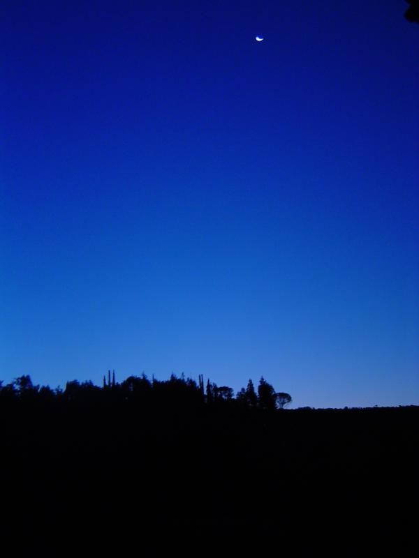 DSC02444 