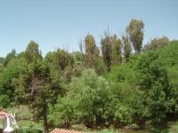 DSC02438 